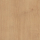 r5202